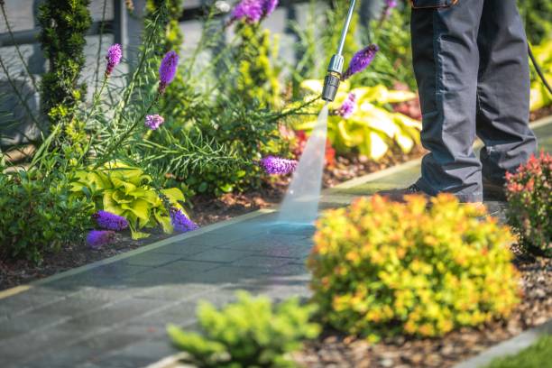Best Animal Enclosure Cleaning  in Bartlett, IL